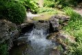(71) 2010 Parc floral Apremont sur Allier